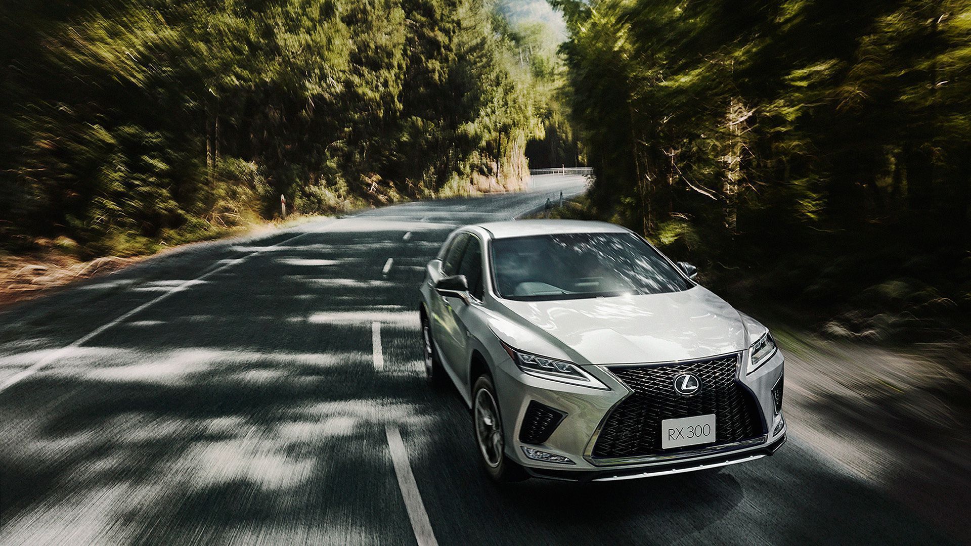 Lexus-RX-Driving